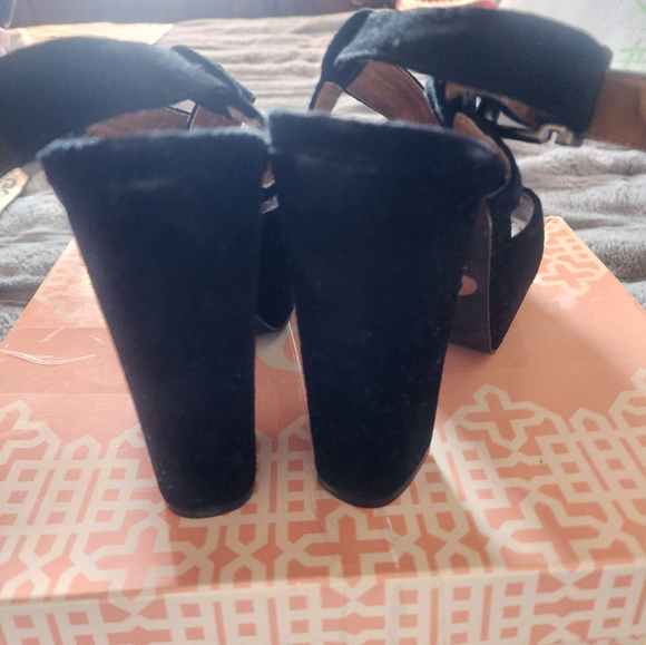 Giant Bini - Picture 4 of 6